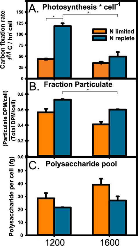 Photosynthesis and cellular carbon and energy stores in Prochlorococcus ...