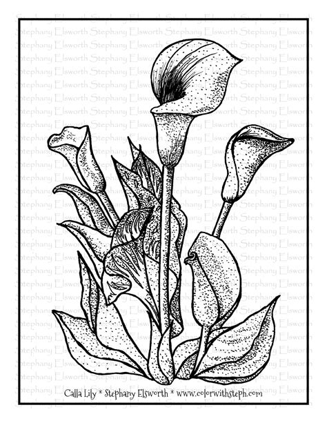 Calla Lily Bouquet Coloring Pages