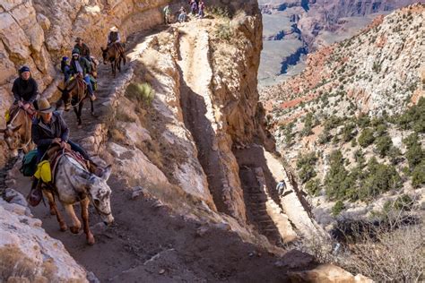 Lightfoot J The Great Grand Canyon Mule Ride 07 – Sierra Camera Club