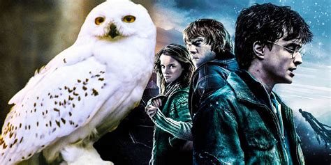 Why Hedwig Was Killed Off In Harry Potter & The Deathly Hallows