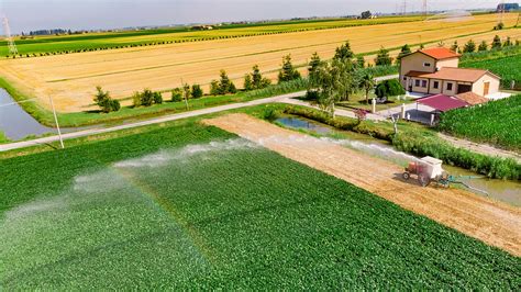 Surface Irrigation Methods - Advantages and Disadvantages