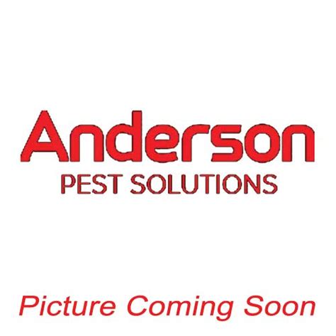 Woodlouse Spider Identification & Behavior | Anderson Pest Solutions