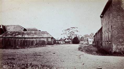 Farm history | Brickendon Estate, World Heritage Site, Longford Tasmania