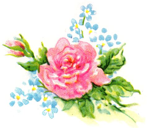 Free Floral Clip Art, Download Free Floral Clip Art png images, Free ClipArts on Clipart Library