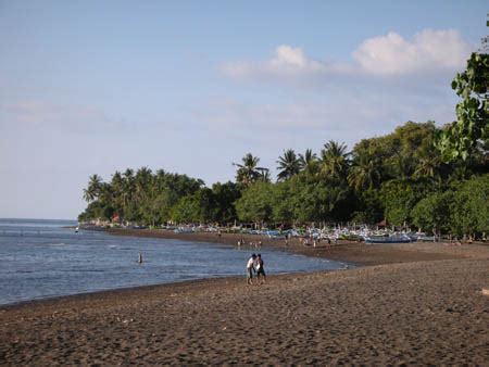 Lovina beach : Enjoying sunrise with dolphin attraction - Trevindos