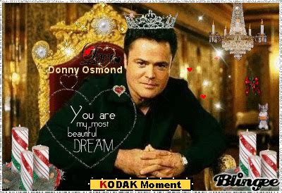 Donny Osmond Picture #131174913 | Blingee.com