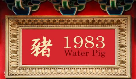 1983 Chinese Zodiac: Water Pig Year - Personality Traits