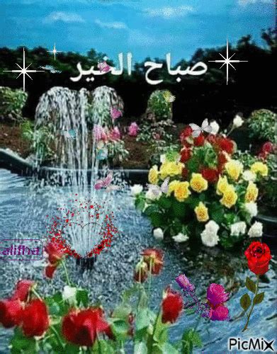 an advertisement for a flower garden with flowers in the foreground and water fountain in the ...
