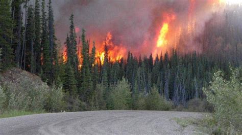 B.C. forest fire risk increasing - British Columbia - CBC News