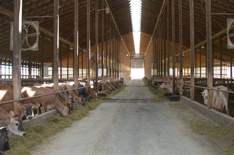 PROGRESS: Life in the fast lane - Farm and Dairy | Barn layout, Dairy ...