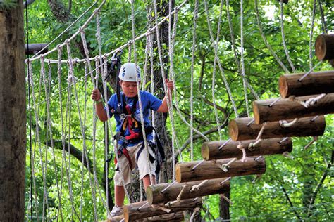 Fun Things To Do With Toddlers In Asheville Nc | Kids Matttroy