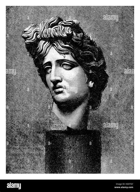 Statue of apollo belvedere Cut Out Stock Images & Pictures - Alamy