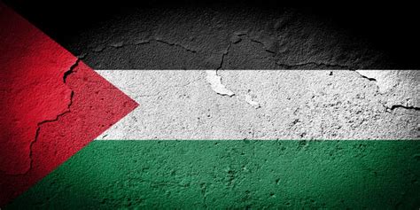 Rustic, Grunge Palestine Flag Stock Photo - Image of arabic, insignia: 167602558