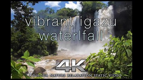 IGUAZU FALLS SCREENSAVER 4K | Nature, Screen savers