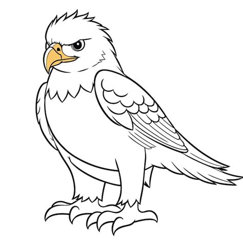 Premium Vector | A vector of a cute eagle in black and white coloring ...