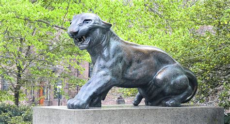 Princeton Tiger Statue Photograph by Dave Mills - Pixels