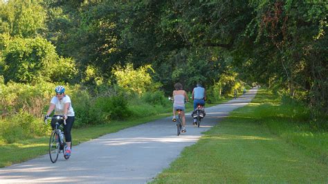 Van Fleet Trail – Florida Hikes