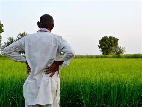 Empowering the Indian Farmer: Navigating Towards Success in Modern ...