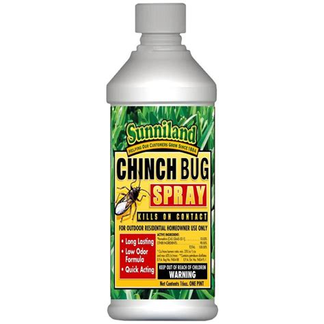 Bug Treatment: Chinch Bug Treatment Lowes