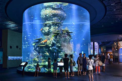 S.E.A. Aquarium | At Resorts World Sentosa. | Choo Yut Shing | Flickr