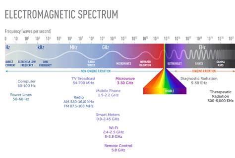 Can Your pet Get Affected By EMF radiation