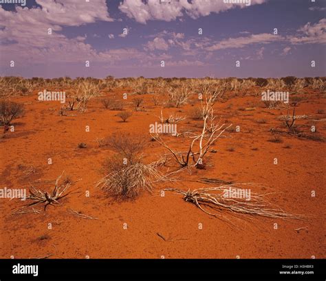 Gibson Desert Stock Photo - Alamy