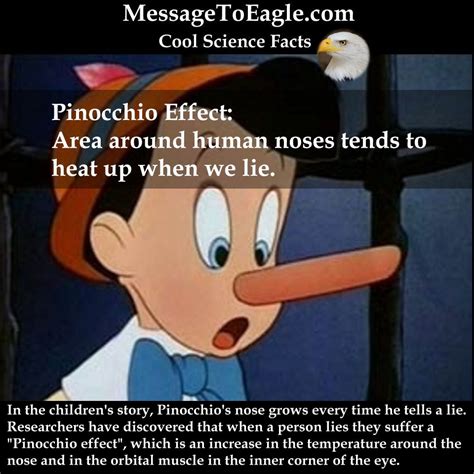 "Pinocchio Effect" - Look What Really Happens With Your Nose When You ...