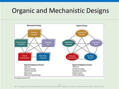 Organic versus Mechanistic Organization: Core Differences | Viquepedia