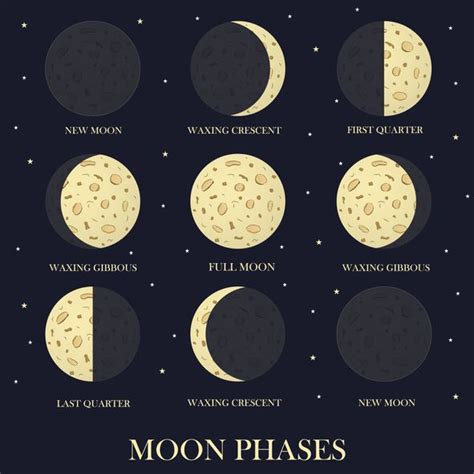 Moon Phases and Astrology - Starlies