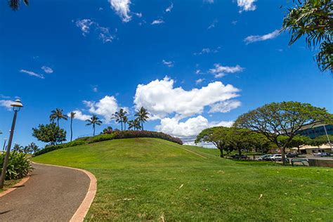 Kakaako Waterfront Park Stock Photos, Pictures & Royalty-Free Images - iStock