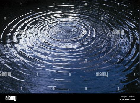 circular ripples in a pond Stock Photo: 1417959 - Alamy