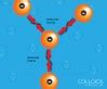 Properties of Colloids - Surfguppy - Chemistry made easy for visual ...