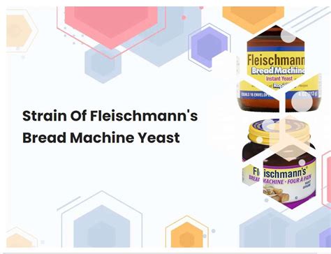 Strain Of Fleischmanns Bread Machine Yeast | breadmach.com