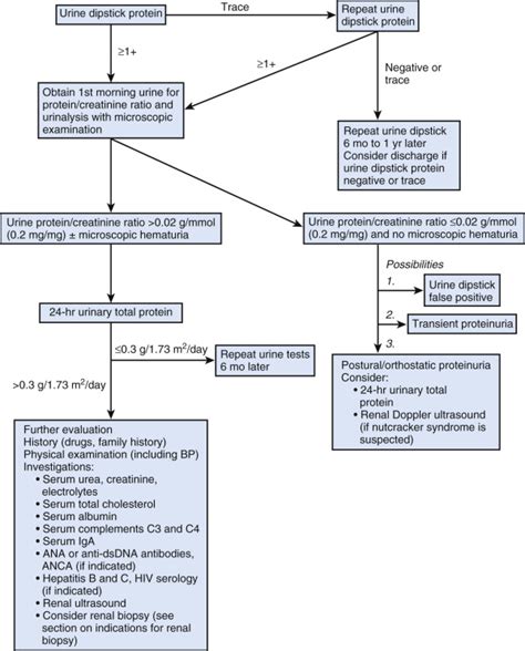 Proteinuria | Obgyn Key