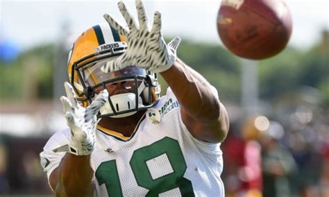 Packers May Have Lost Another WR With Randall Cobb Suffering Shoulder Injury - Betting Sports