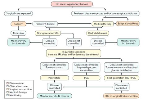 Figure 9. [Algorithm for management of acromegaly: Colao 2019.]. - Endotext - NCBI Bookshelf