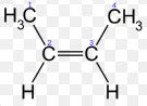 CHEM 340: Alkene & Alkyne Properties and Synthesis Flashcards | Quizlet