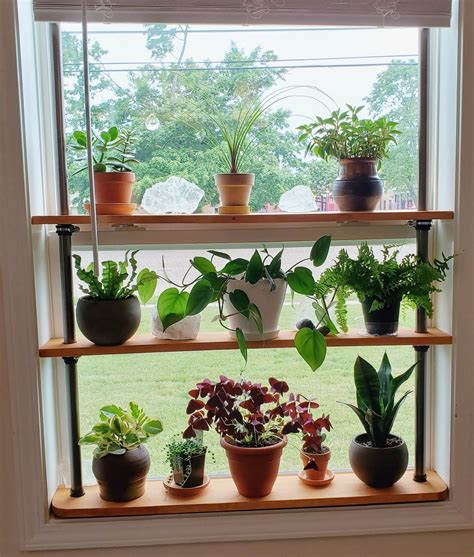 Window Plant Shelves Removable and Adjustable. No Drilling | Etsy