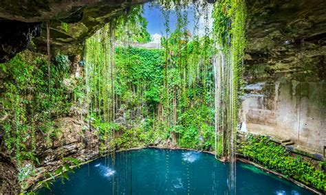 Entdecken Sie die 5 schönsten Cenoten in Yucatán