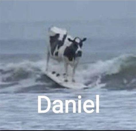 Daniel, guardian of the seas, protector of the Florida men : r/Bossfight