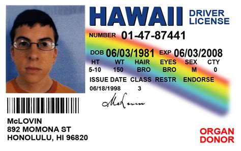 MCLOVIN FAKE ID CARD - Superbad Super Bad Fogell HI Hawaii Prop Drivers License