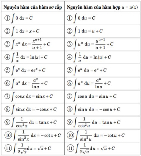 Cách Tìm Nguyên Hàm Của Hàm Số Mũ Và Hàm Số Logarit – VUIHOC