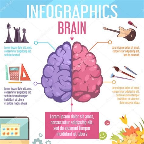 Hemisferios Cerebrales Y Sus Funciones