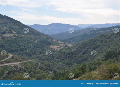 Large Galician Forests Full of Pines and Eucalyptus in the Mountains Near Navia De Suarna ...