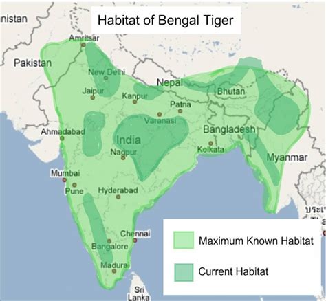 White Tiger Habitat Map