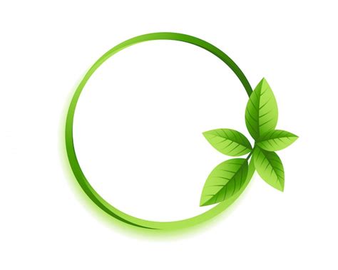 Free Vector | Green circle leaves frame with copyspace