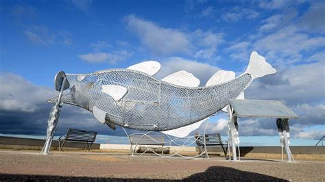 South Shields' fish sculpture aims to cut plastic pollution - BBC News