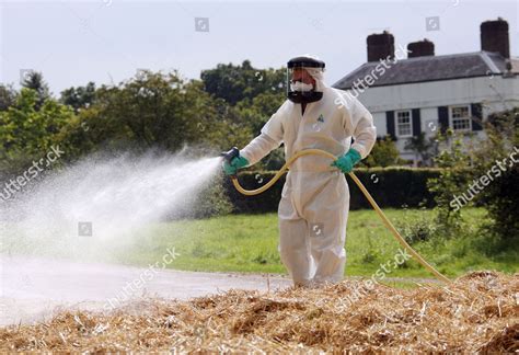 Confirmed Outbreak Foot Mouth Disease On Editorial Stock Photo - Stock Image | Shutterstock