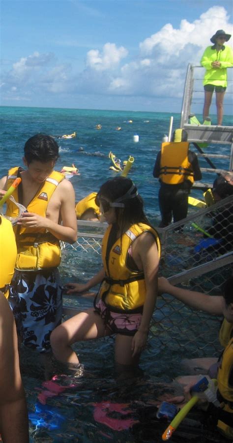 Snorkeling In Great Barrier Reef – Indu Travel Tales