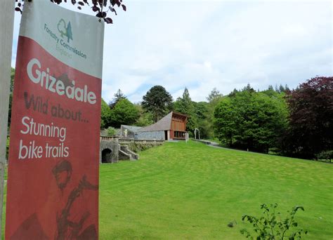 A walk in Grizedale Forest | Where2Walk